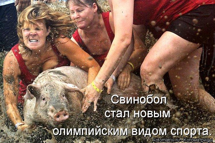 Котоматрица: Свинобол  стал новым  олимпийским видом спорта.