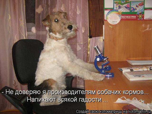 Котоматрица: - Не доверяю я производителям собачих кормов... Напихают всякой гадости ...