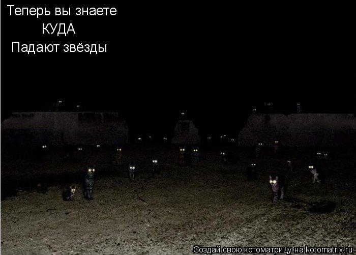 Котоматрица: Теперь вы знаете КУДА Падают звёзды