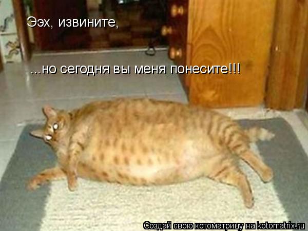 Котоматрица: Ээх, извините, ...но сегодня вы меня понесите!!!