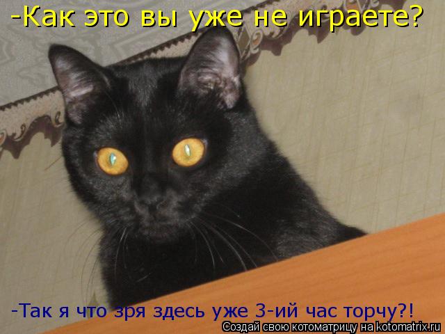 Котоматрица: -Как это вы уже не играете? -Так я что зря здесь уже 3-ий час торчу?!
