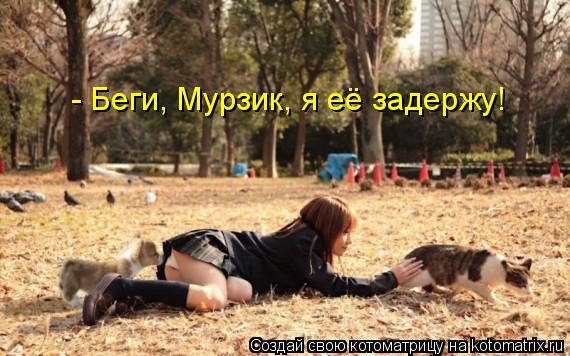 Котоматрица: - Беги, Мурзик, я её задержу!