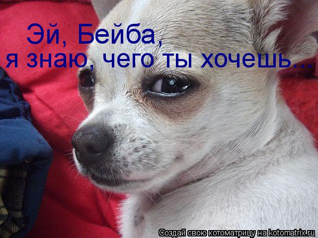 Котоматрица: Эй, Бейба, я знаю, чего ты хочешь...