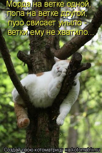 ����� �� ����� �����, ���� �� ����� ������, ���� ������� ����� - ����� ��� �� �������...