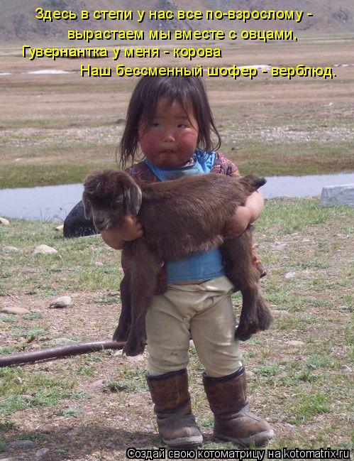 Котоматрица: Здесь в степи у нас все по-взрослому - вырастаем мы вместе с овцами, Гувернантка у меня - корова Наш бессменный шофер - верблюд.
