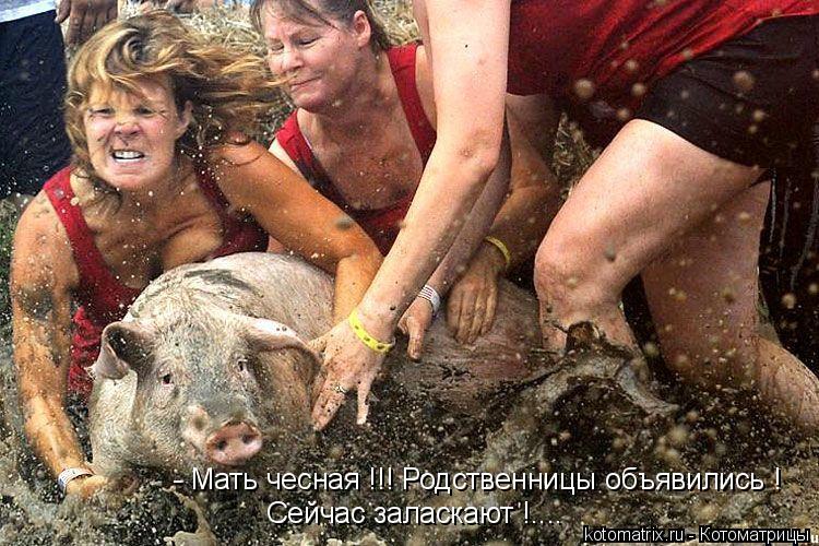 Котоматрица: - Мать чесная !!! Родственницы объявились !  Сейчас заласкают !....