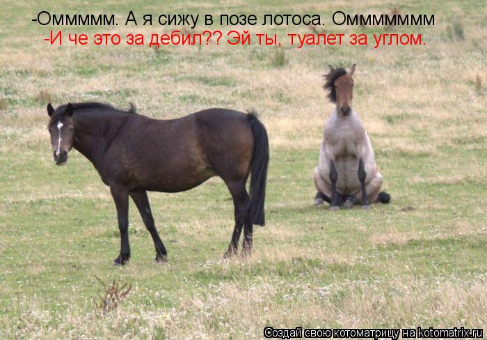 Котоматрица: -Оммммм. А я сижу в позе лотоса. Оммммммм -И че это за дебил?? Эй ты, туалет за углом.