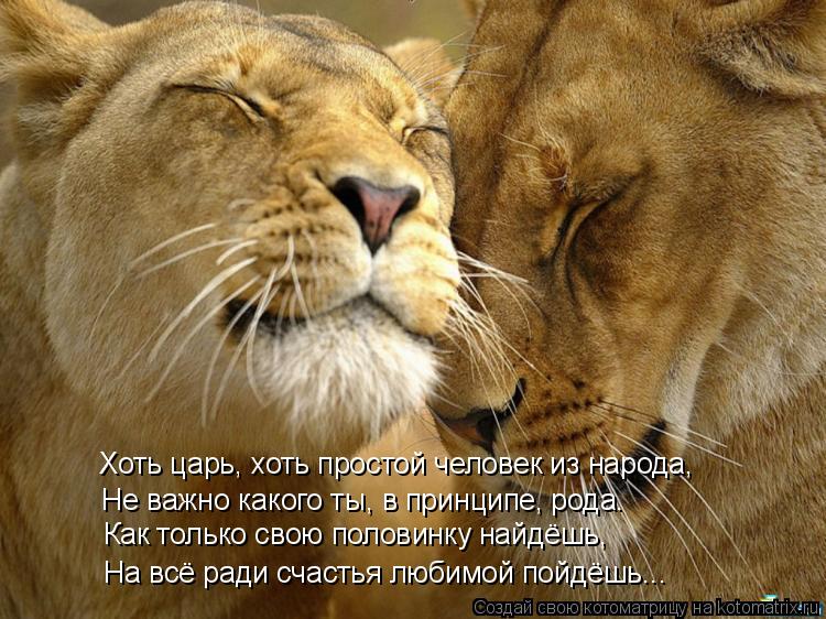 Котоматрица: Хоть царь, хоть простой человек из народа, Не важно какого ты, в принципе, рода.   Как только свою половинку найдёшь, На всё ради счастья любим