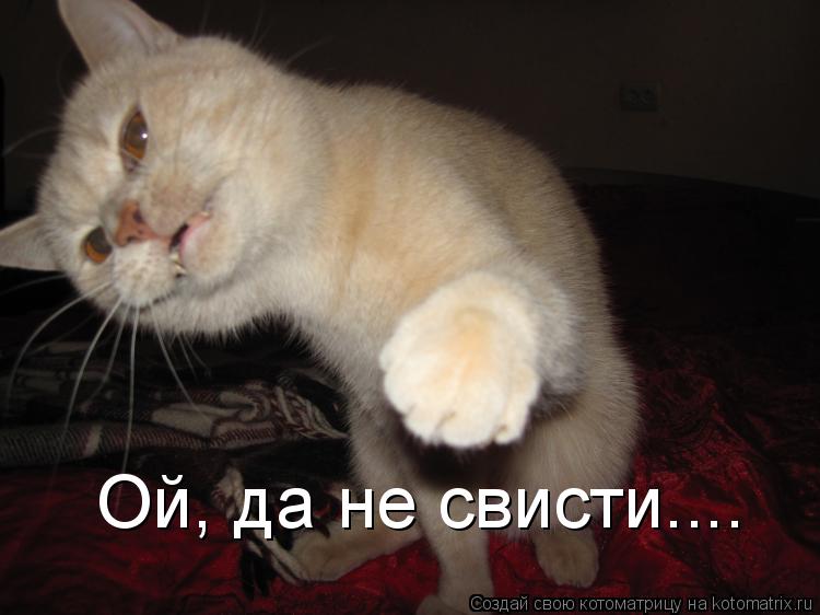 Котоматрица: Ой, да не свисти....