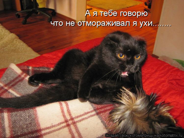 Цитаты для профессии врач Цитаты для профессии врач