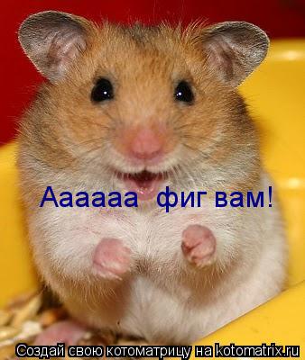 Котоматрица: Аааааа  фиг вам!