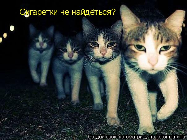 Котоматрица: Сигаретки не найдёться?