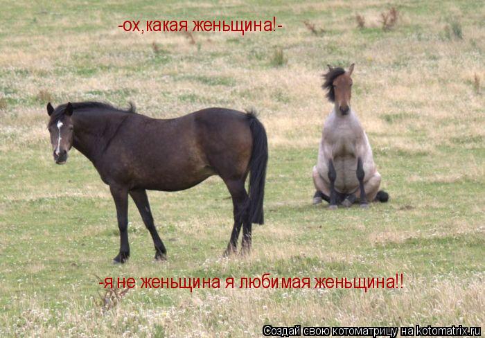 Котоматрица: -ох,какая женьщина!- -я не женьщина я любимая женьщина!!