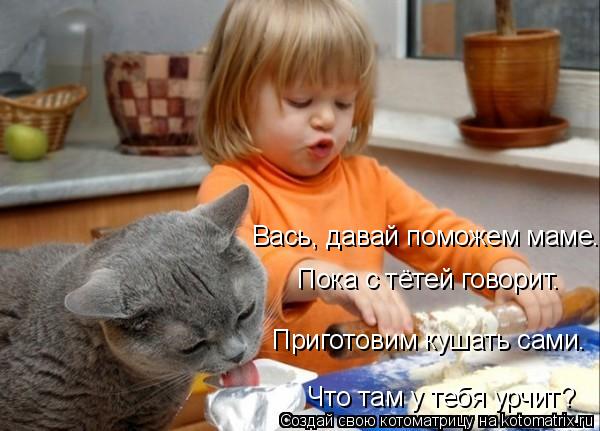Котоматрица: Вась, давай поможем маме. Пока с тётей говорит. Что там у тебя урчит? Приготовим кушать сами.