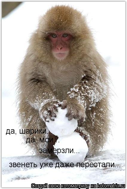 Котоматрица: да, шарики... да, мои... замерзли... звенеть уже даже перестали...
