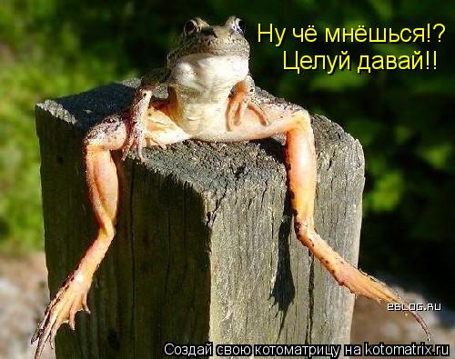 Котоматрица: Ну чё мнёшься!?  Целуй давай!!