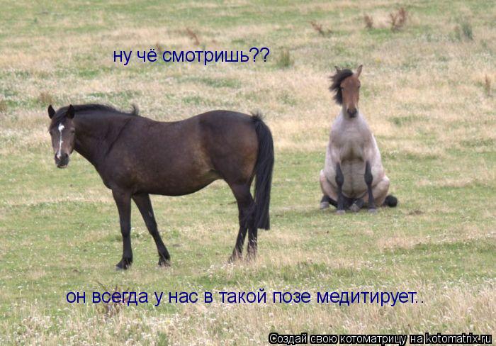 Котоматрица: ну чё смотришь?? он всегда у нас в такой позе медитирует..