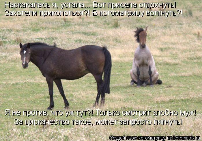 Захотели приколоться?! В котоматрицу воткнуть?! Наскакалась я, устала... Вот присела отдохнуть! Я не... Котоматрица: Захотели приколоться?! В котоматрицу воткнуть?! Наскакалась я, устала... Вот присела отдохнуть! Я не против, что уж тут?! Только смотрит злобн