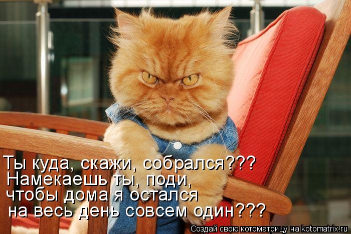 Ты куда, скажи, собрался??? на весь день совсем один??? Намекаешь ты, поди, чтобы дома я остался... Котоматрица: Ты куда, скажи, собрался??? на весь день совсем один??? Намекаешь ты, поди, чтобы дома я остался