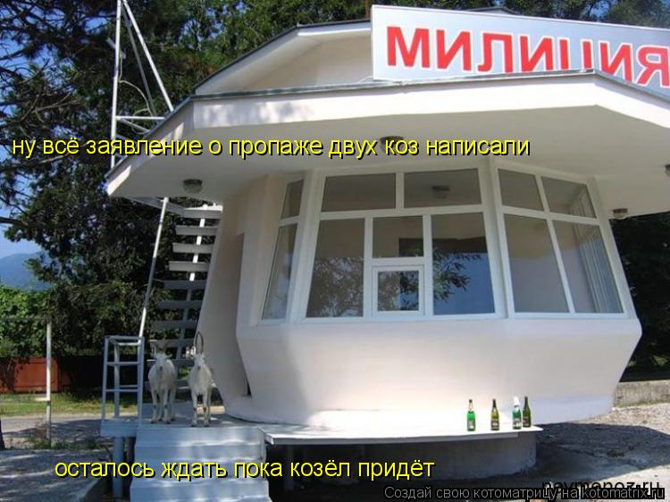 Котоматрица: ну всё заявление о пропаже двух коз написали осталось ждать пока козёл придёт