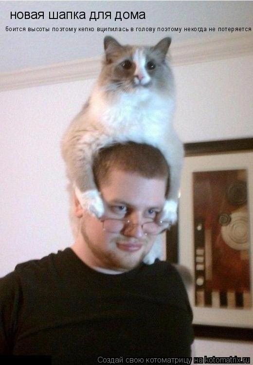 Котоматрица: новая шапка для дома  боится высоты поэтому кепко вципилась в голову поэтому некогда не потеряется