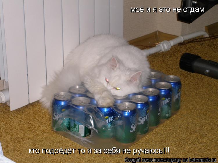 Котоматрица: моё и я это не отдам  кто подоёдёт то я за себя не ручаюсь!!!