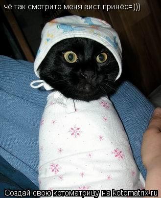 Котоматрица: чё так смотрите меня аист принёс=)))