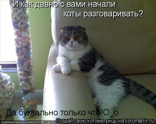 Котоматрица: И как давно с вами начали  коты разговаривать? Да буквально только что!О_о