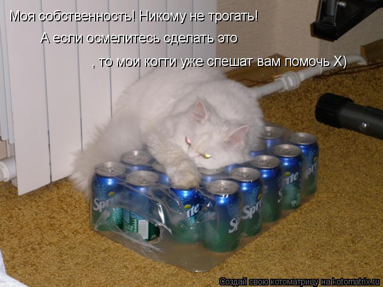 Котоматрица: Моя собственность! Никому не трогать! А если осмелитесь сделать это , то мои когти уже спешат вам помочь Х)