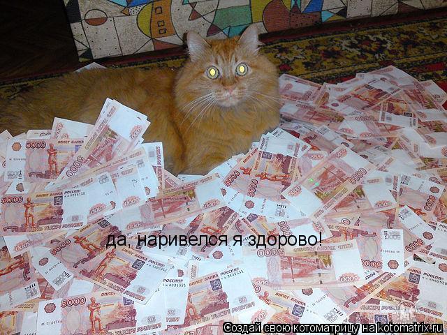 Котоматрица: да, наривелся я здорово!