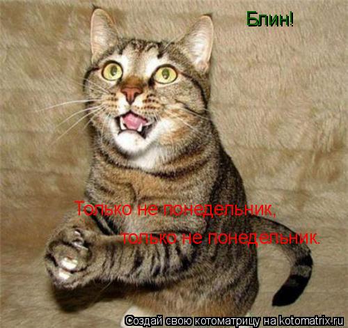 Котоматрица: Блин! Только не понедельник, только не понедельник.