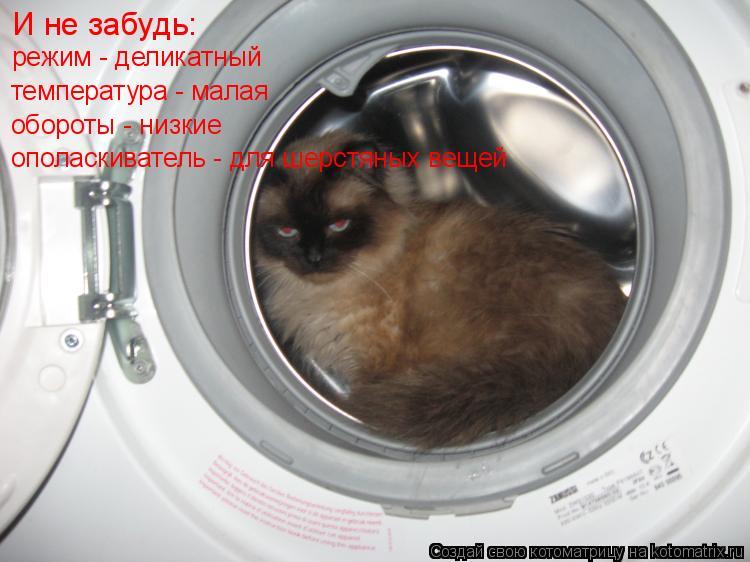 Котоматрица: И не забудь: режим - деликатный температура - малая обороты - низкие ополаскиватель - для шерстяных вещей