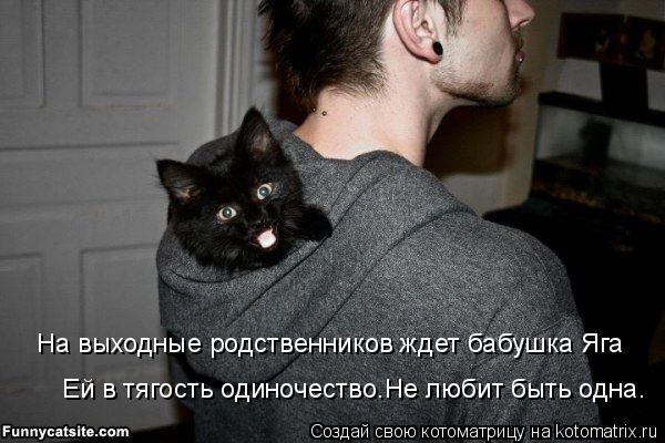 Котоматрица: На выходные родственников ждет бабушка Яга    Ей в тягость одиночество.Не любит быть одна.