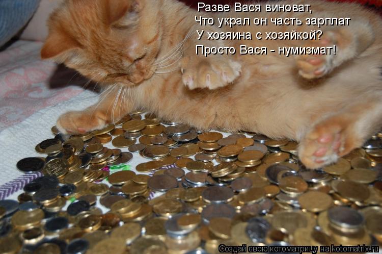 Котоматрица: Разве Вася виноват,  Что украл он часть зарплат У хозяина с хозяйкой? Просто Вася - нумизмат!