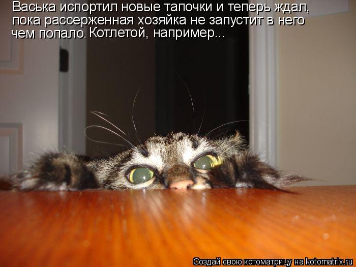 Котоматрица: Васька испортил новые тапочки и теперь ждал, пока рассерженная хозяйка не запустит в него чем попало. Котлетой, например...