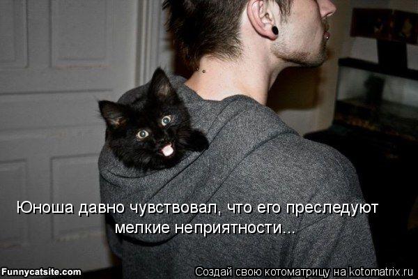 Котоматрица: Юноша давно чувствовал, что его преследуют мелкие неприятности...