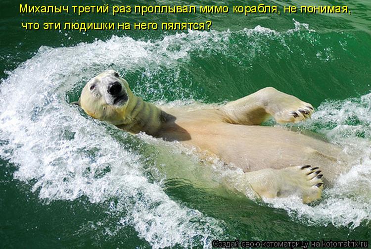 Котоматрица: Михалыч третий раз проплывал мимо корабля, не понимая, что эти людишки на него пялятся?