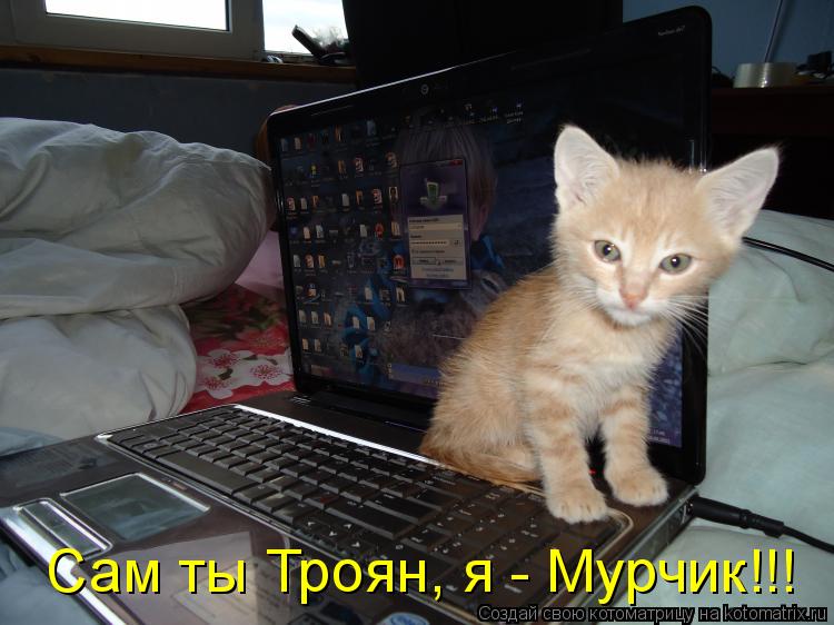 Котоматрица: Сам ты Троян, я - Мурчик!!!