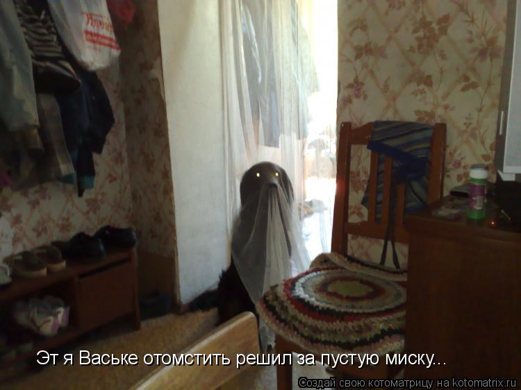 Эт я Ваське отомстить решил за пустую миску...... Котоматрица: Эт я Ваське отомстить решил за пустую миску...