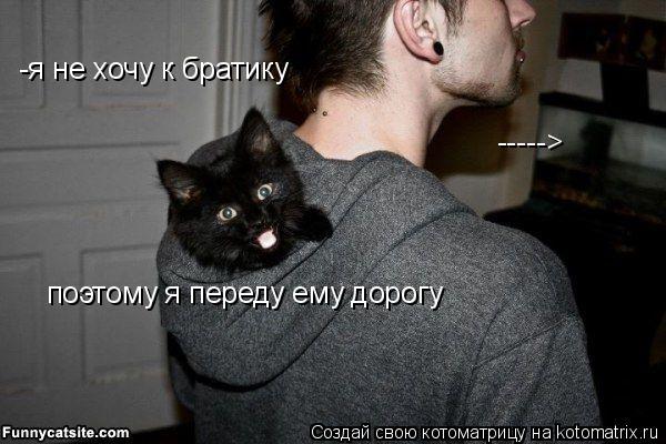 Котоматрица: -----> -я не хочу к братику поэтому я переду ему дорогу