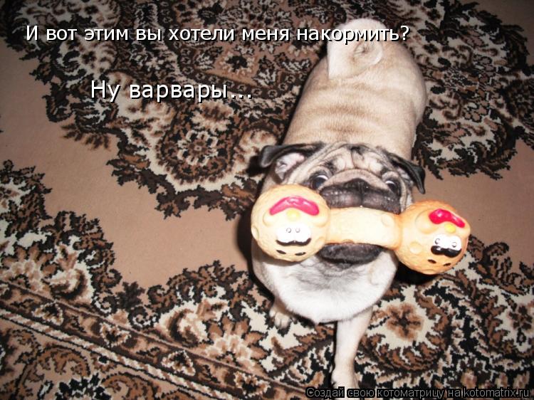 Котоматрица: И вот этим вы хотели меня накормить? Ну варвары... И вот этим вы хотели меня накормить?  Ну варвары...