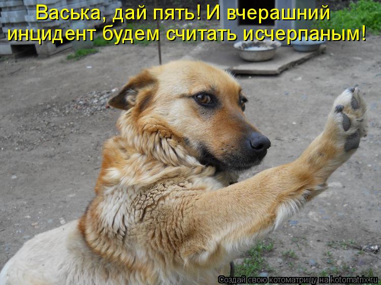 Котоматрица: Васька, дай пять! И вчерашний  инцидент будем считать исчерпаным!