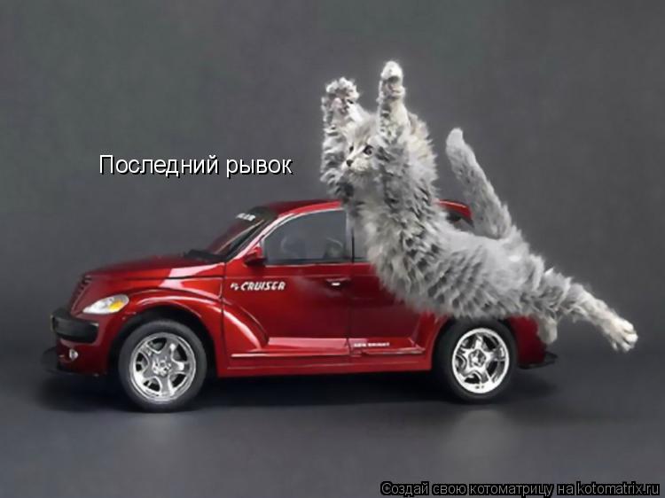 Котоматрица: Последний рывок