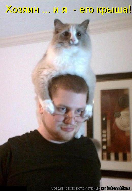 Котоматрица: Хозяин ... и я  - его крыша!