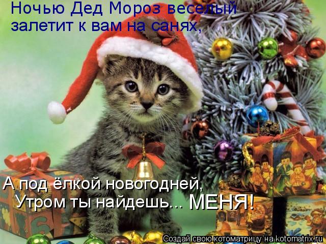 Котоматрица: Ночью Дед Мороз веселый залетит к вам на санях, А под ёлкой новогодней,  Утром ты найдешь... МЕНЯ!