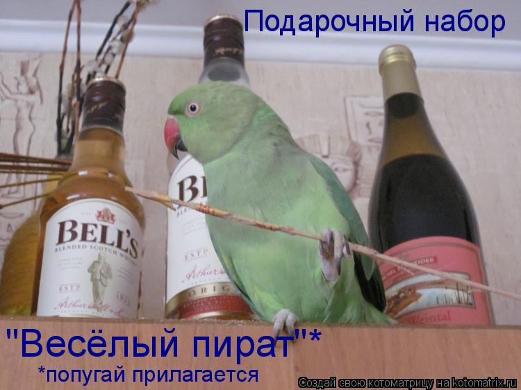Подарочный набор "Весёлый пират"* *попугай прилагается... Котоматрица: Подарочный набор "Весёлый пират"* *попугай прилагается