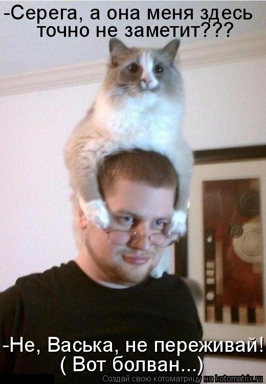 Котоматрица: -Серега, а она меня здесь  точно не заметит??? ( Вот болван...) -Не, Васька, не переживай!