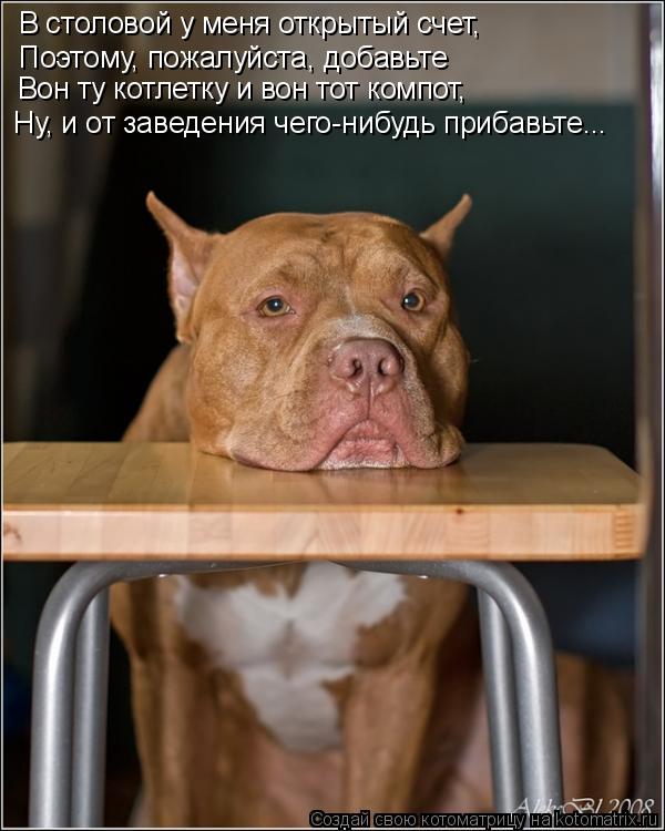 Котоматрица: В столовой у меня открытый счет, Поэтому, пожалуйста, добавьте Вон ту котлетку и вон тот компот, Ну, и от заведения чего-нибудь прибавьте...