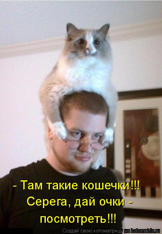 Котоматрица: Серега, дай очки -  посмотреть!!! - Там такие кошечки!!!