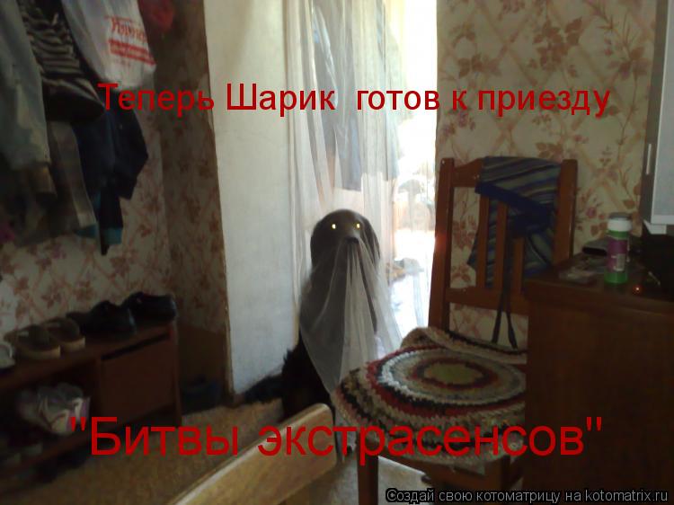 Теперь Шарик готов к приезду "Битвы экстрасенсов"... Котоматрица: Теперь Шарик готов к приезду "Битвы экстрасенсов"